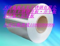 不銹鋼板廠“龍井309S不銹鋼板價(jià)格”【鋼廠直銷】