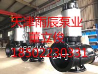 天津雨辰大流量高揚程不銹鋼潛水泵