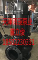 雨辰泵業(yè)大流量高揚程不銹鋼深井排污泵生產(chǎn)廠家