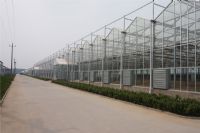 溫室陽光板8mm、10mm陽光板價格